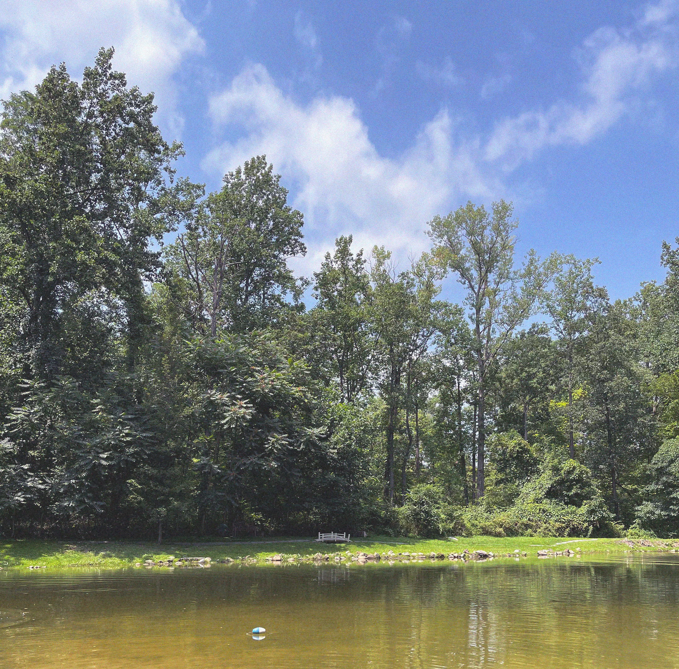 Video reel of many film scenes cut together